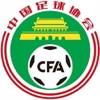 马德兴：足协承诺各级国字号不再搞长期集训，效果如何值得关注