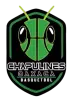 瓦哈卡蚱蜢
